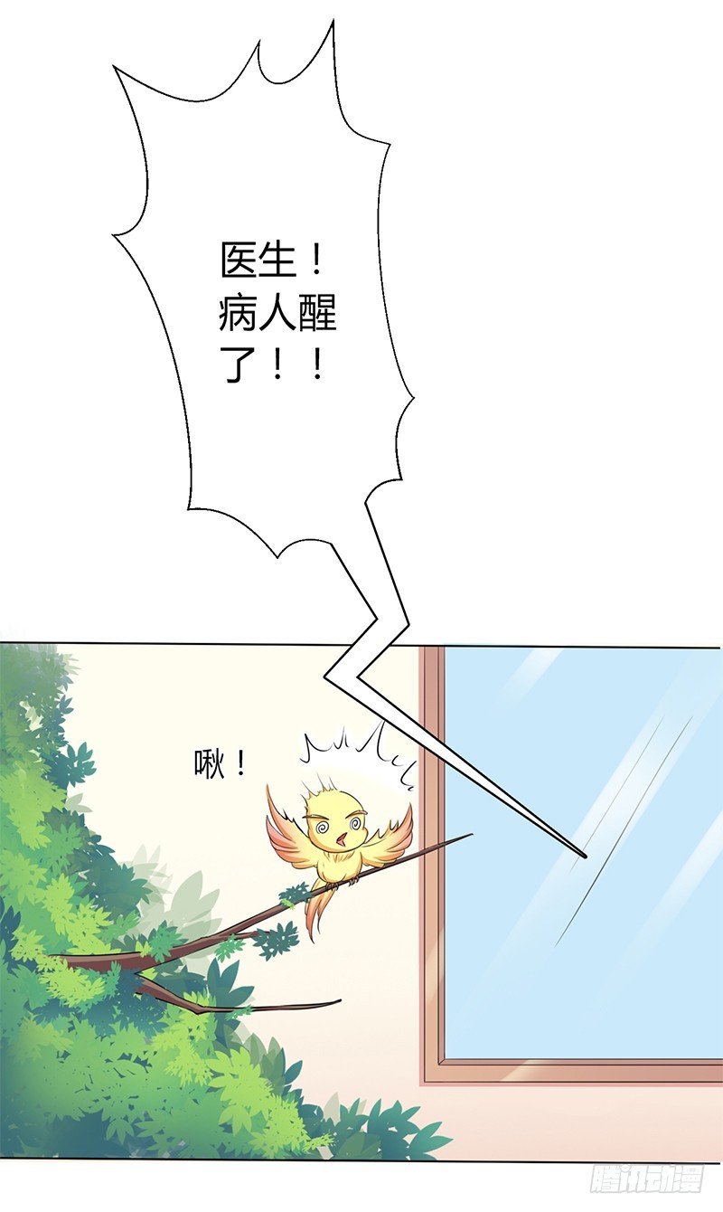 第70话 你终于醒了-第70话