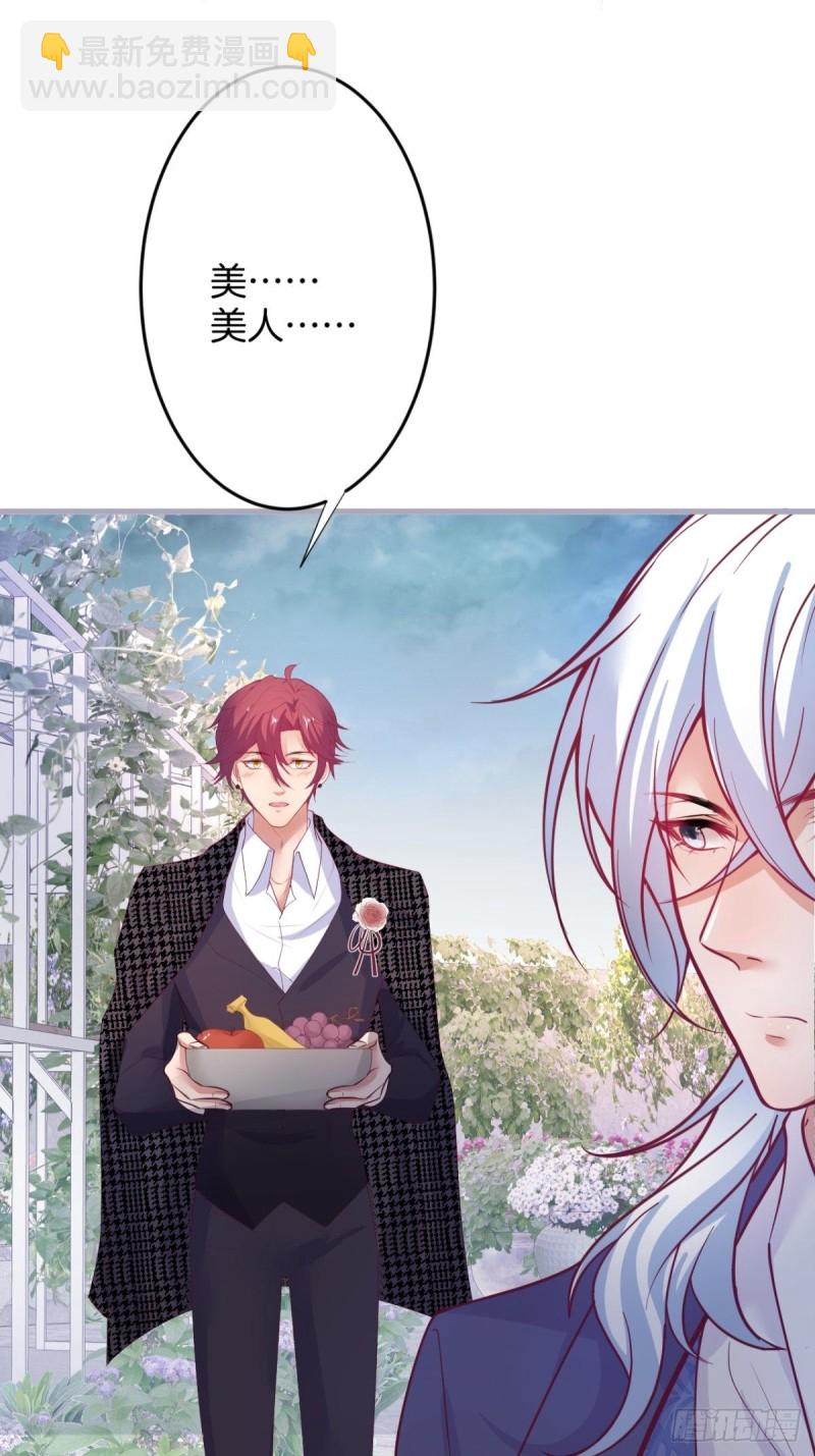 🍲致命氧气 美人要不要骑“海豚”~ 第11页