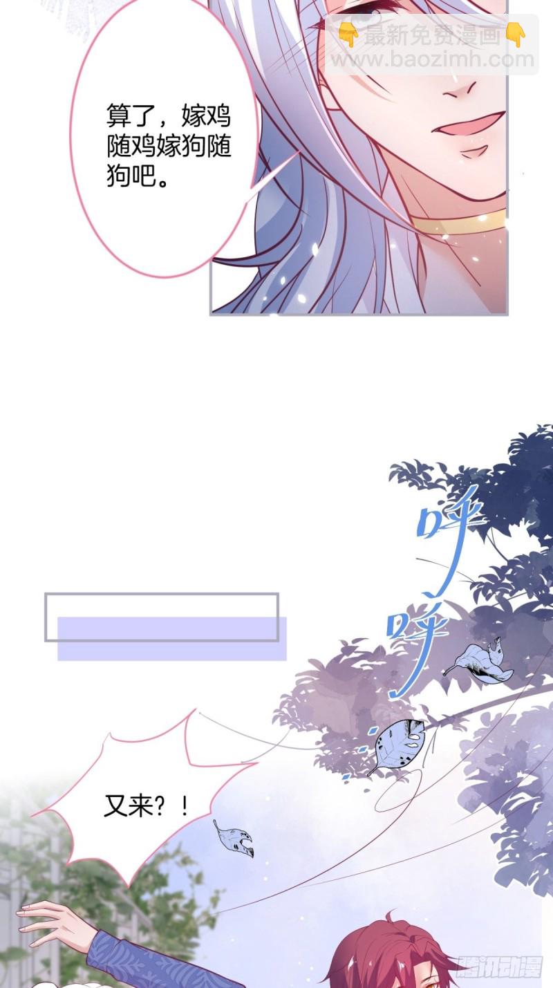 🍲致命氧气 美人要不要骑“海豚”~ 第31页