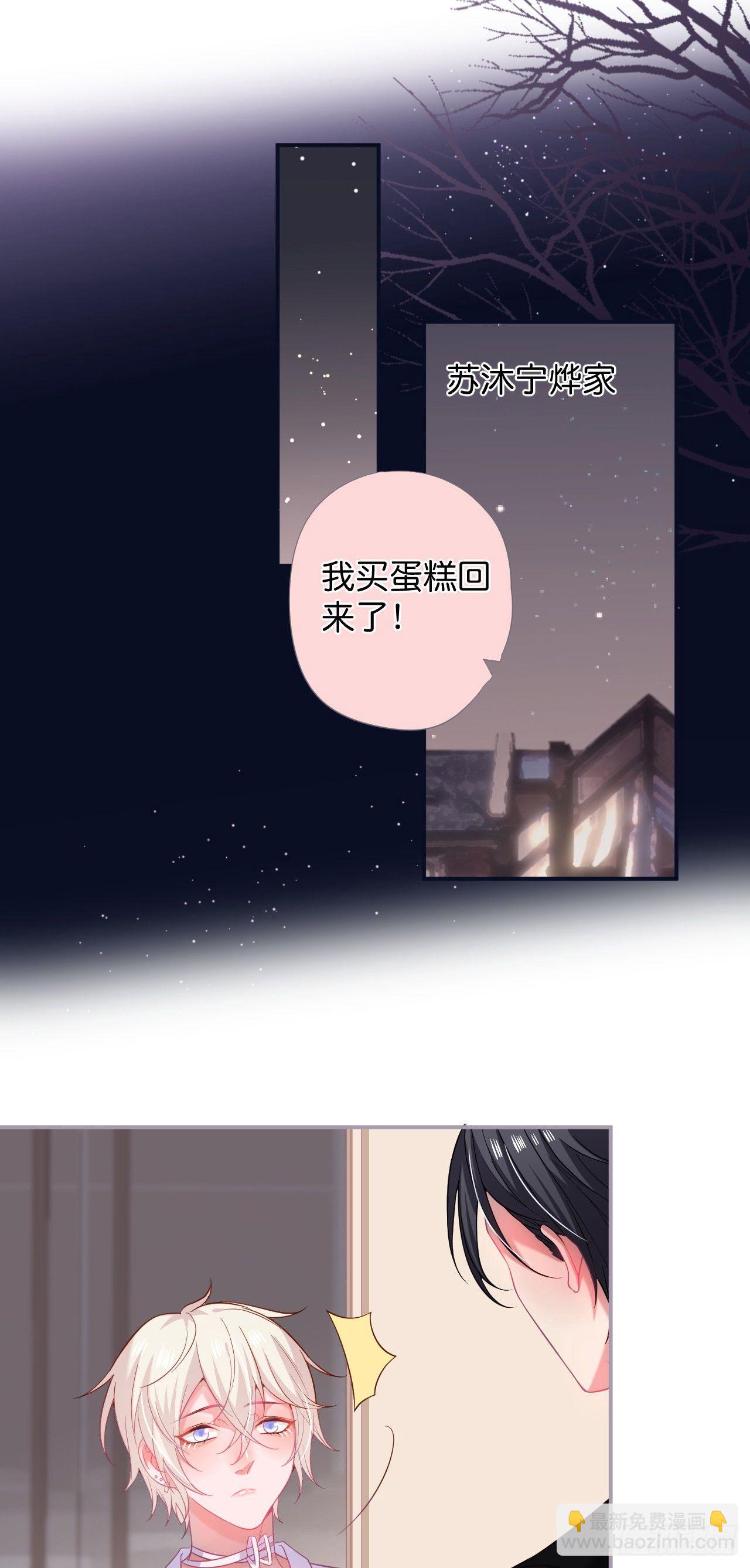🍲致命氧气 苏沐的父亲 第29页