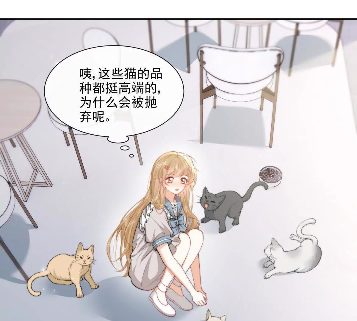 偷猫咪计划(1/2)-第42话