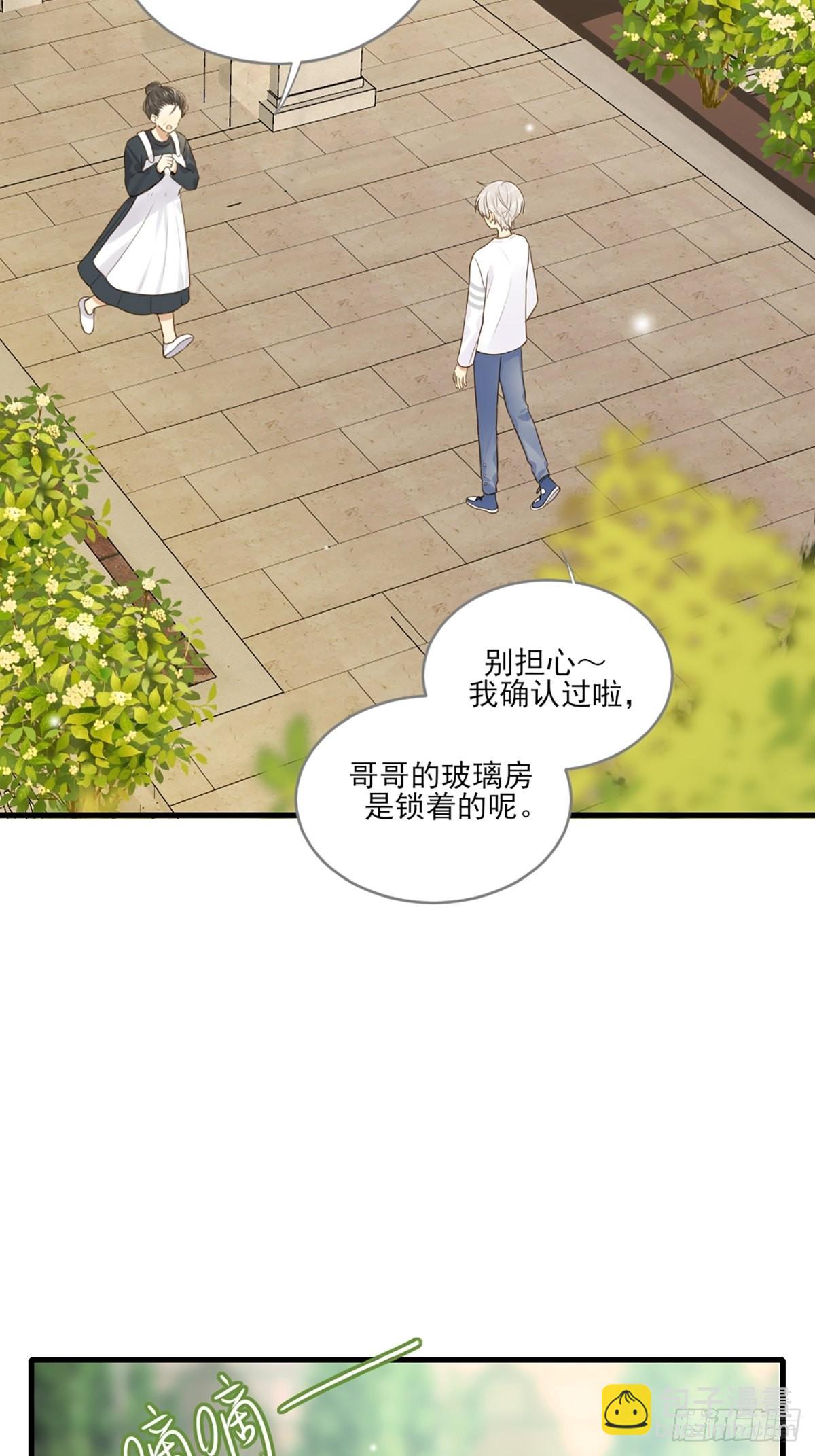 再次相遇却失忆？(1/2)-第4话
