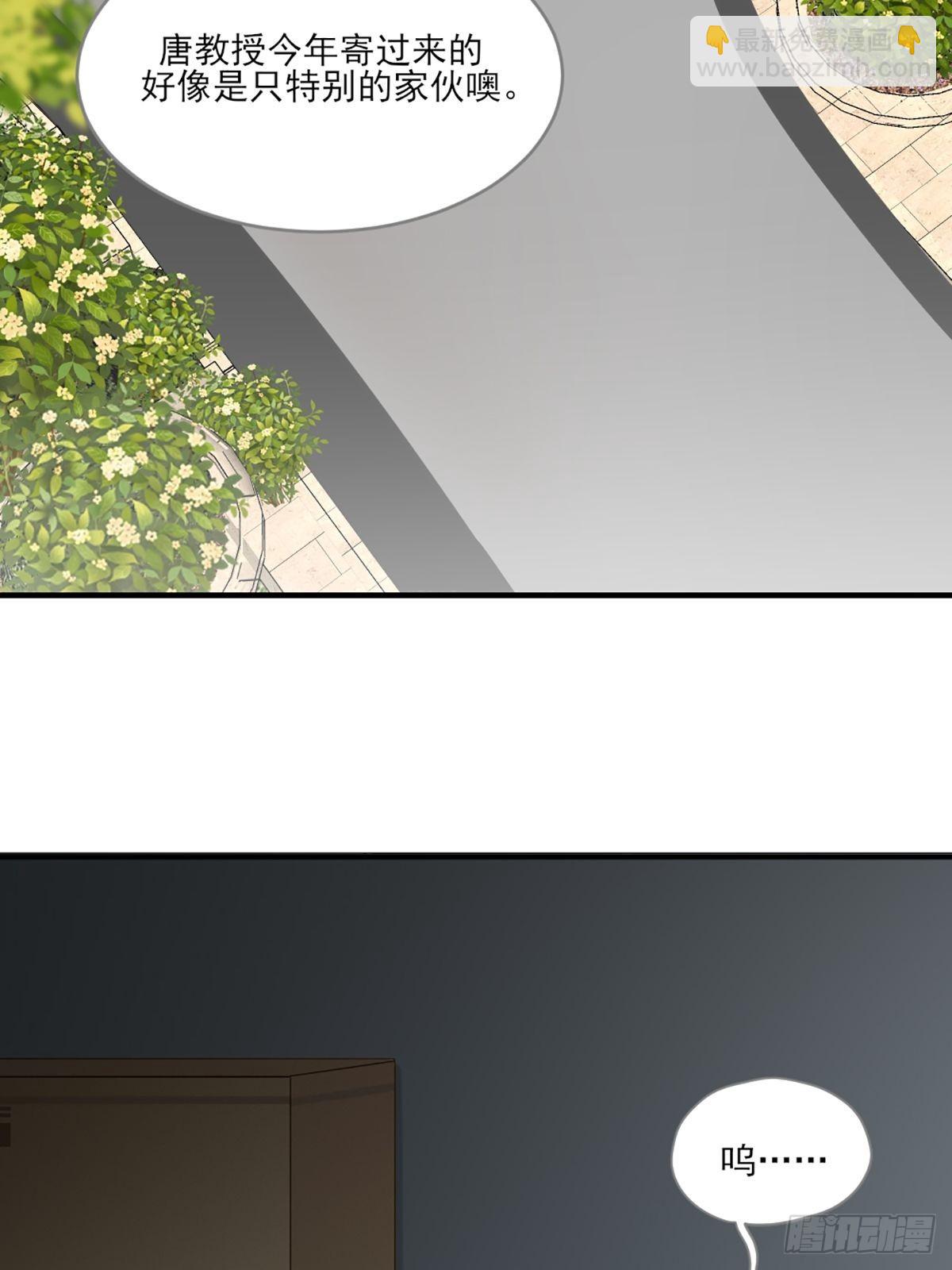 再次相遇却失忆？(1/2)-第4话