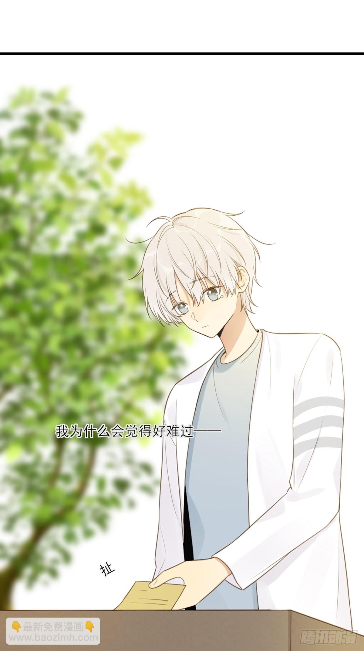 再次相遇却失忆？(1/2)-第4话