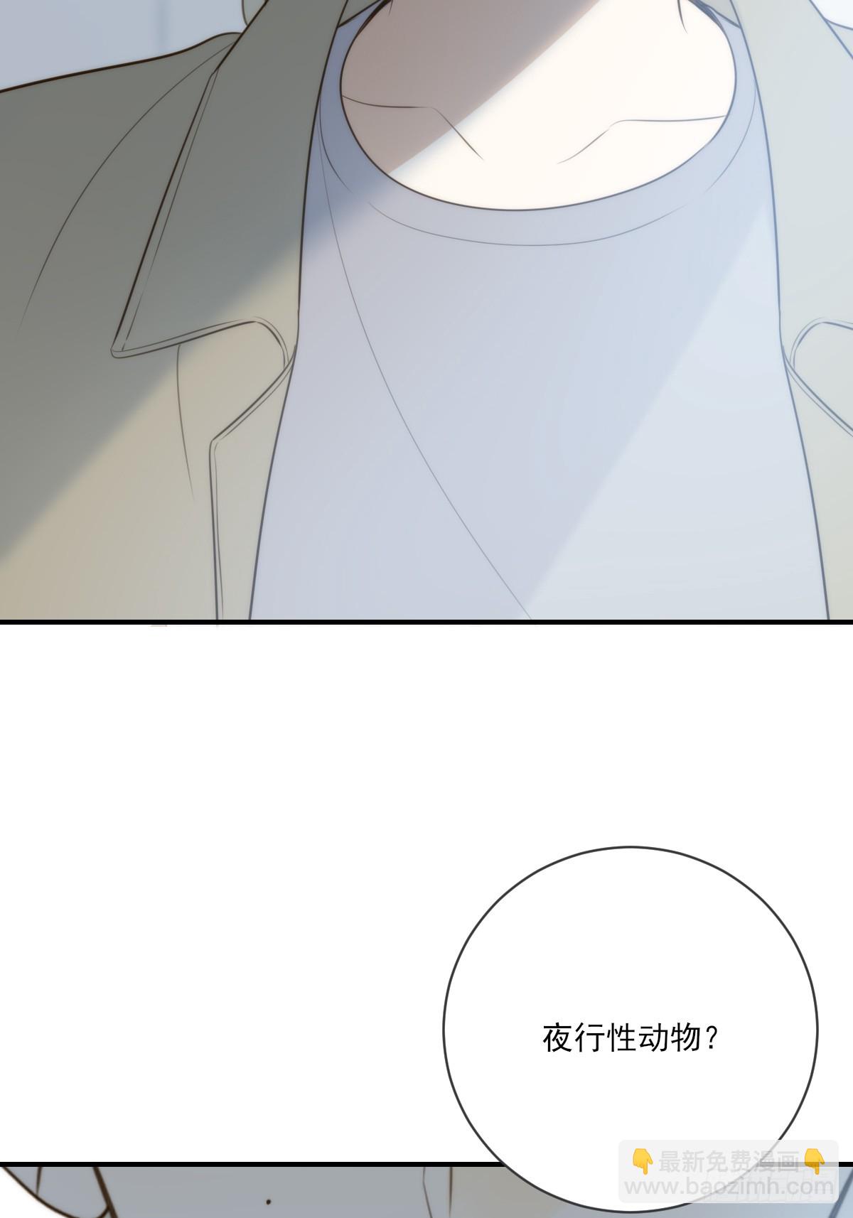 夜行性动物？(1/2)-第46话