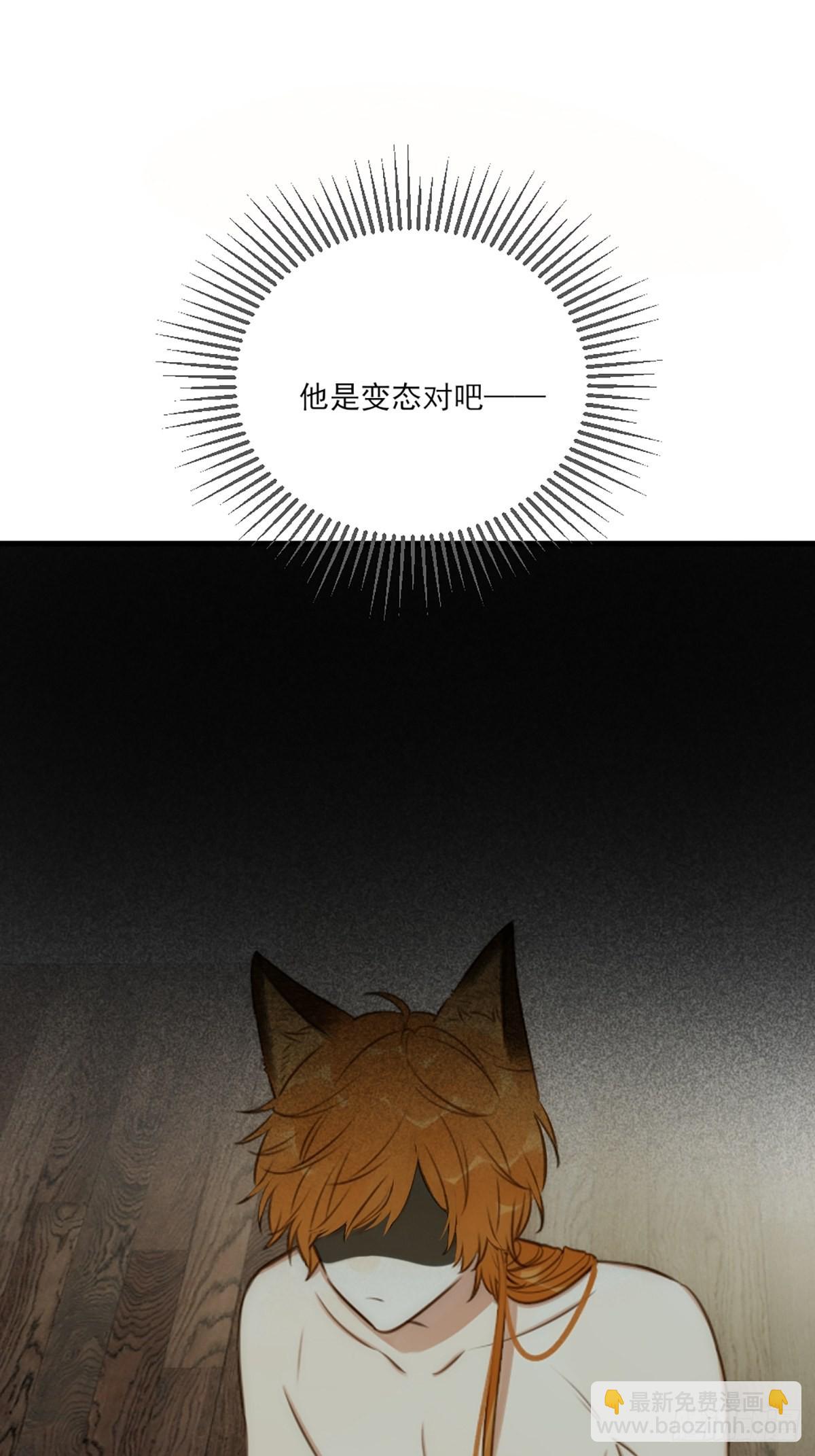 失忆的狐狸(1/2)-第6话
