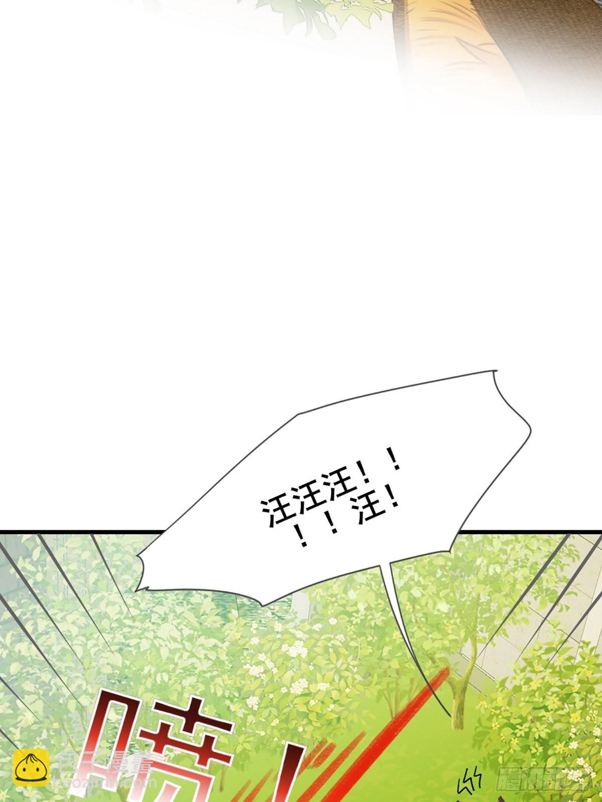 失忆的狐狸(1/2)-第6话