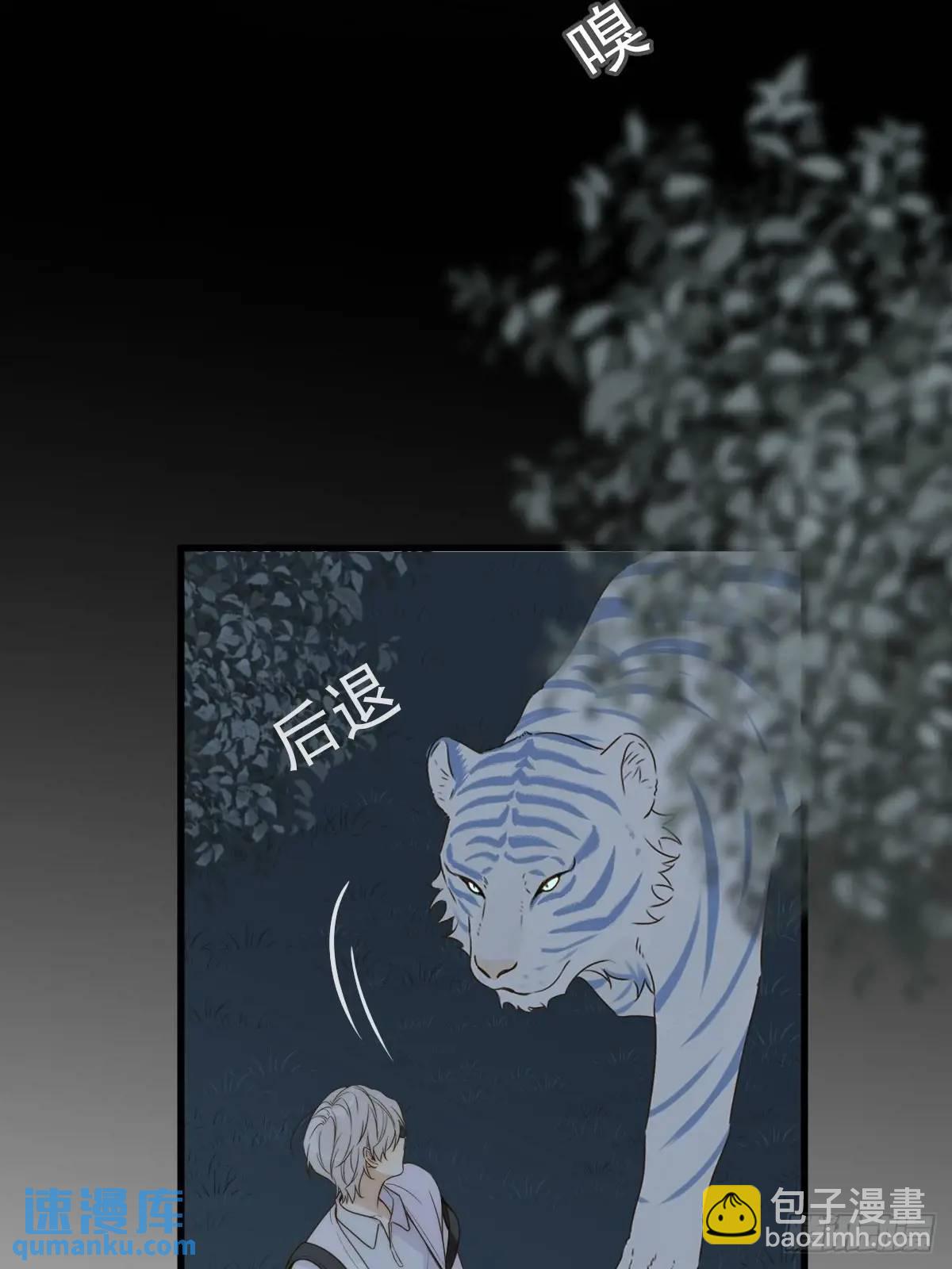 虎妖王化人形(1/2)-第74话