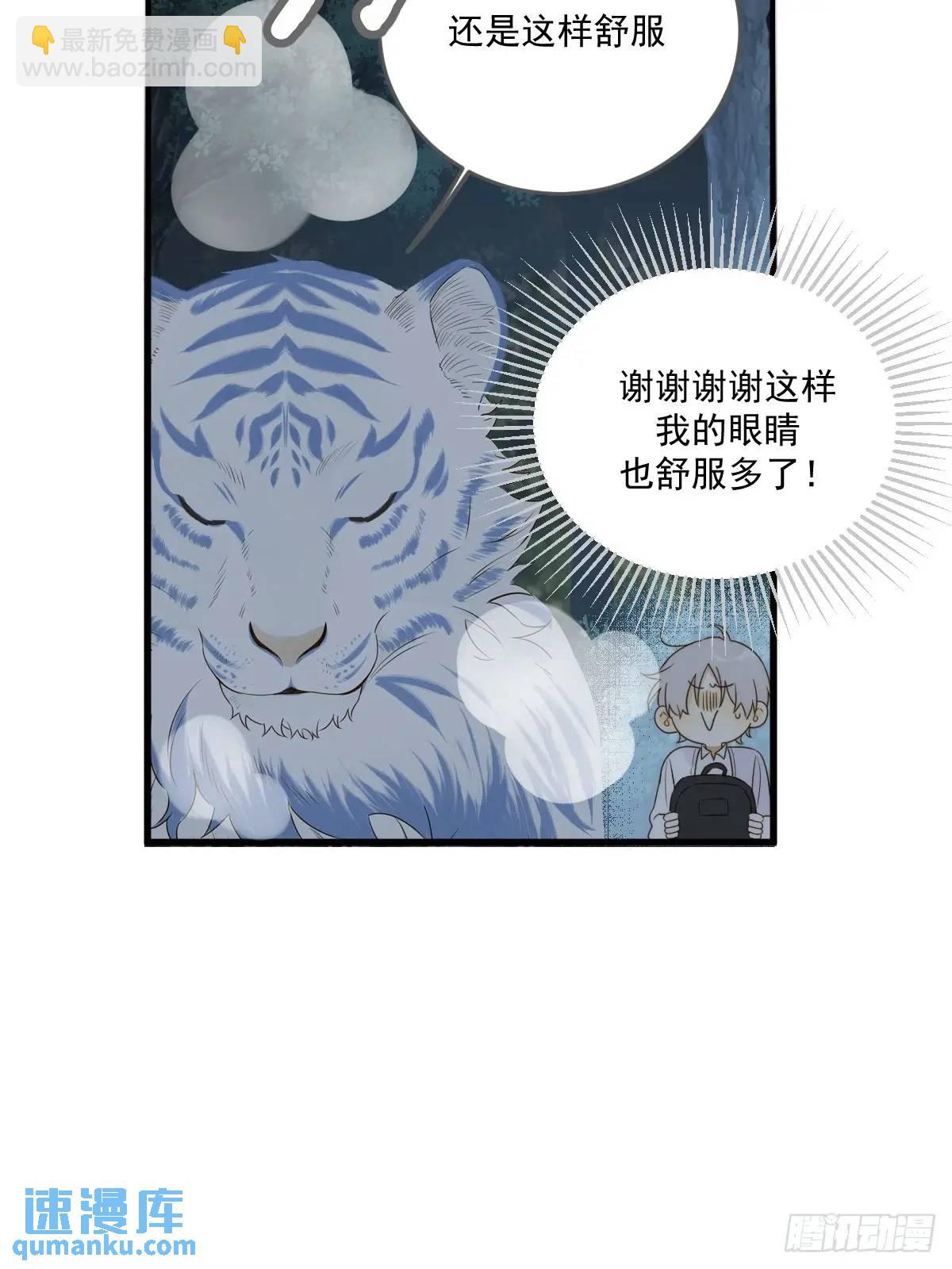 虎妖王化人形(1/2)-第74话