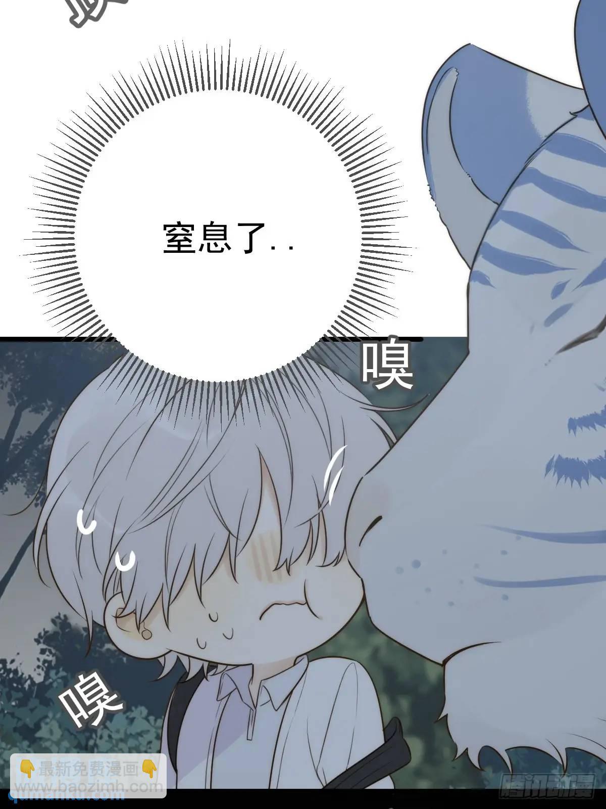 虎妖王化人形(1/2)-第74话