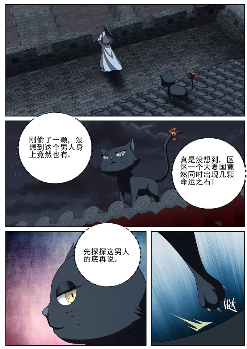 🍲至尊狂帝系统 第98话 96猫女 第10页