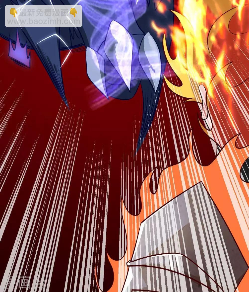 🍲至尊神级系统 第316话  怒焰化拳 第25页
