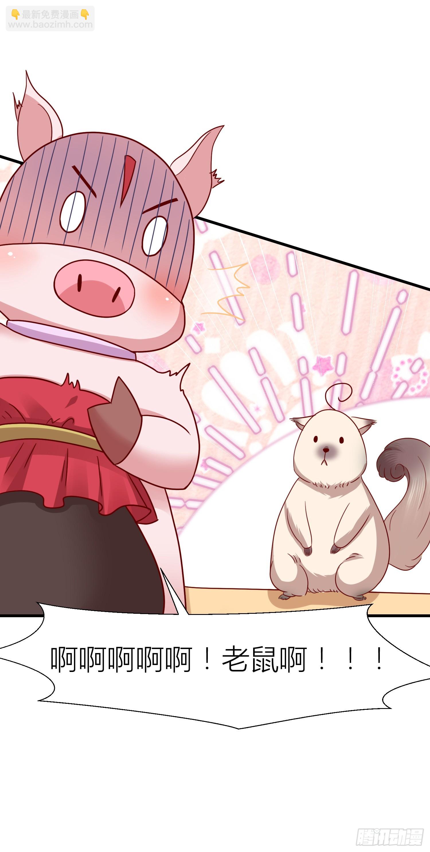 第三百四十四话 猪猪VS鼠鼠-第346话