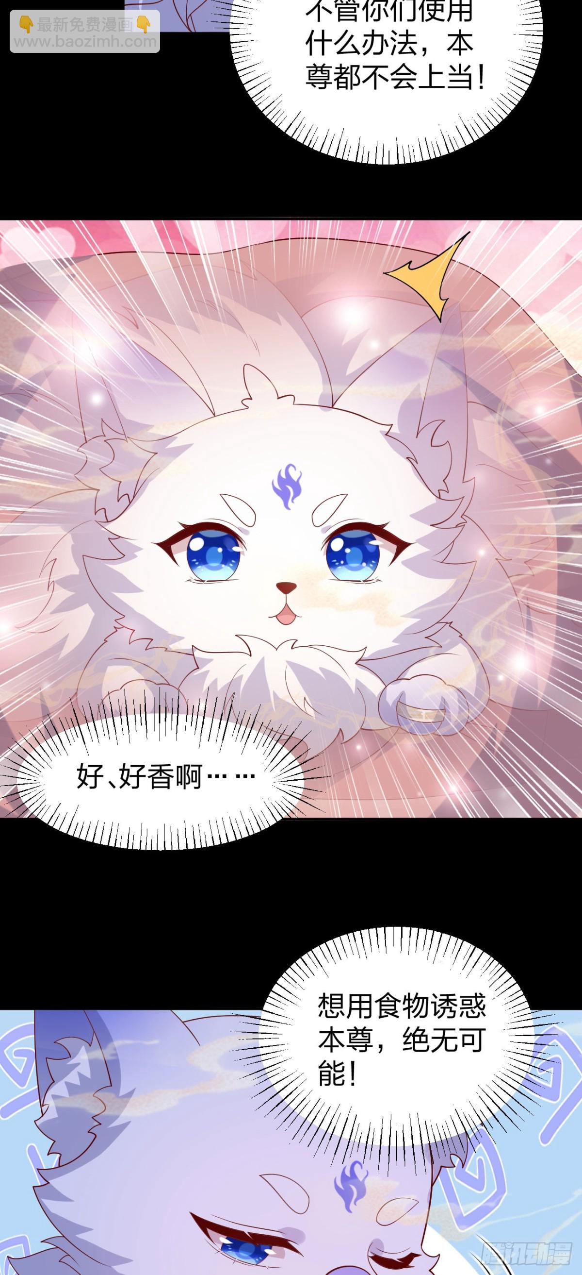 第三百八十六话 强制paly-第404话