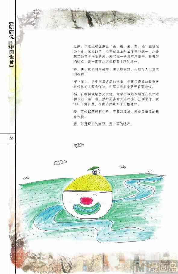 🍲中国传统文化系列 中国饮食 第22页