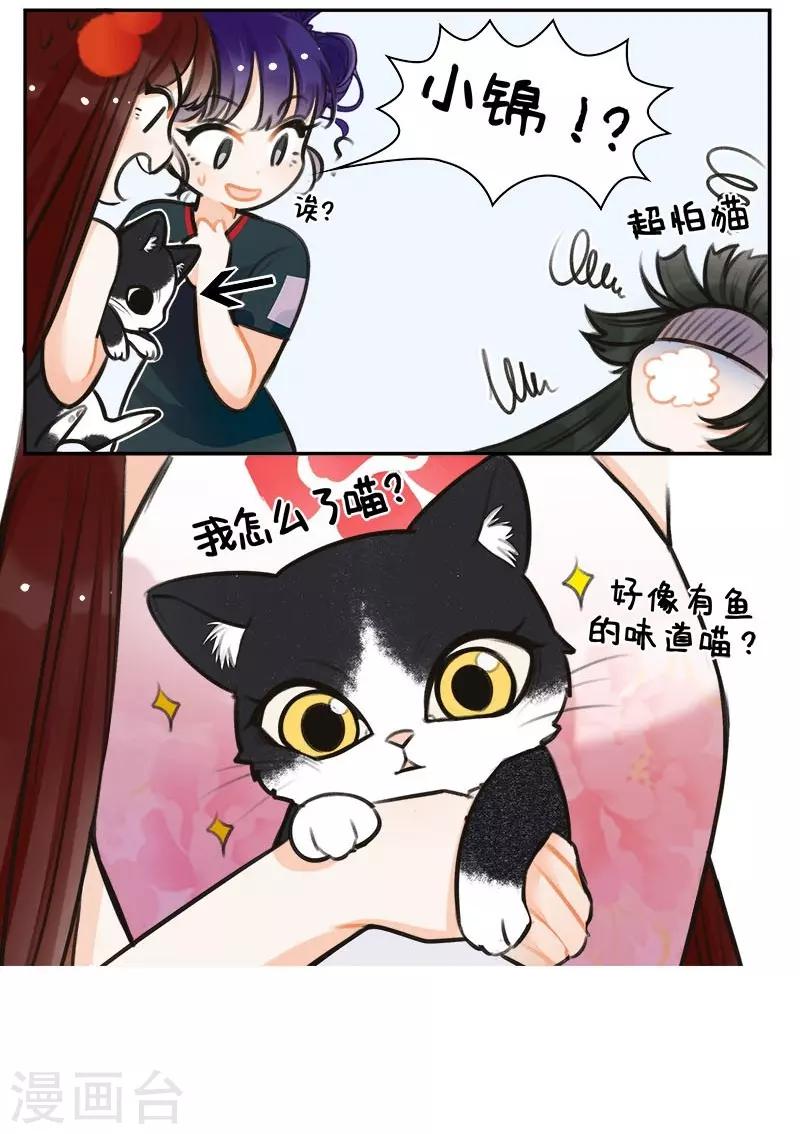 第150话 怕猫的锦鲤-第150话