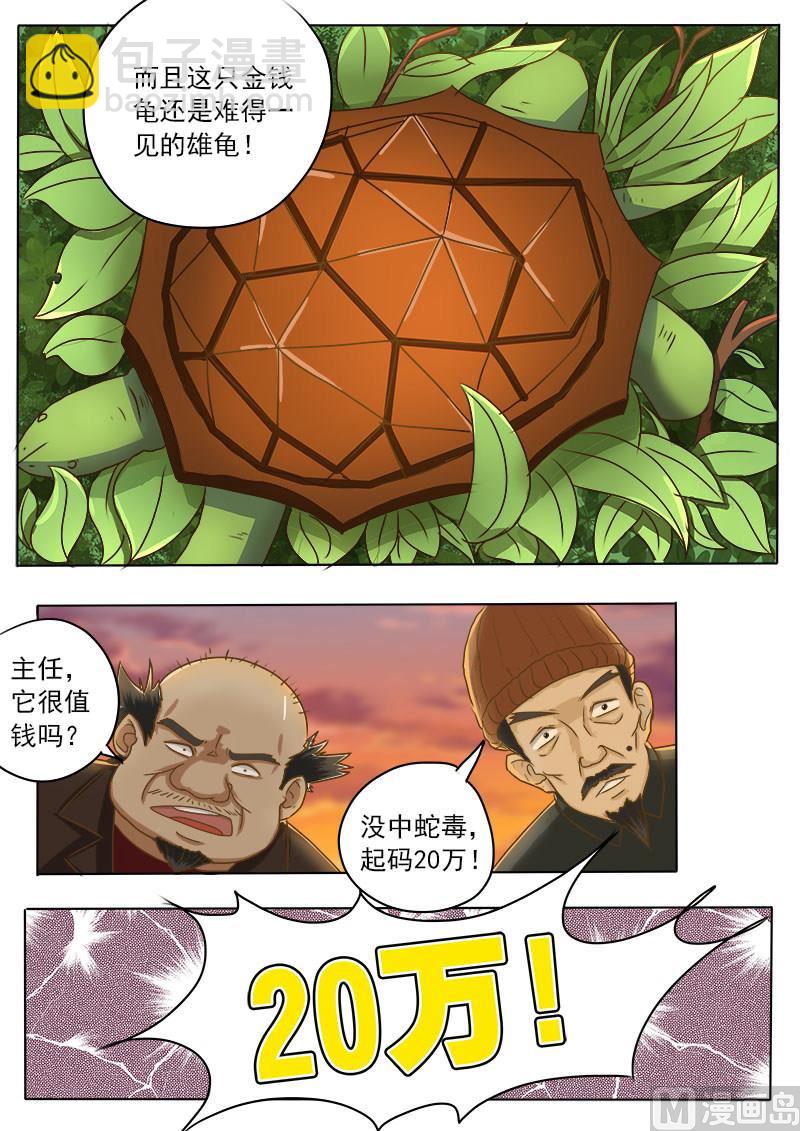 第016话 破龟这么值钱-第16话