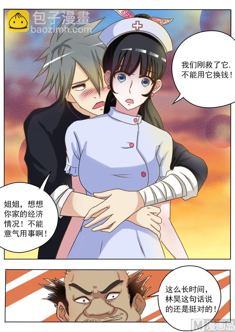 第016话 破龟这么值钱-第16话
