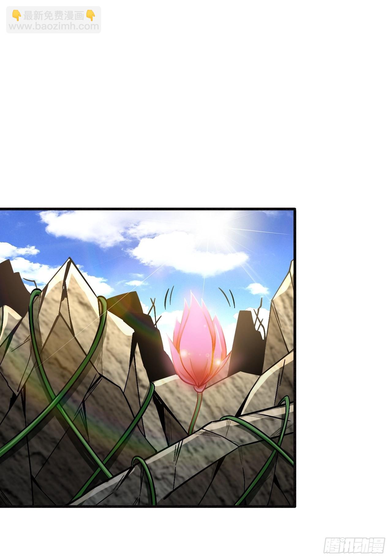 舍得(1/2)-第250话