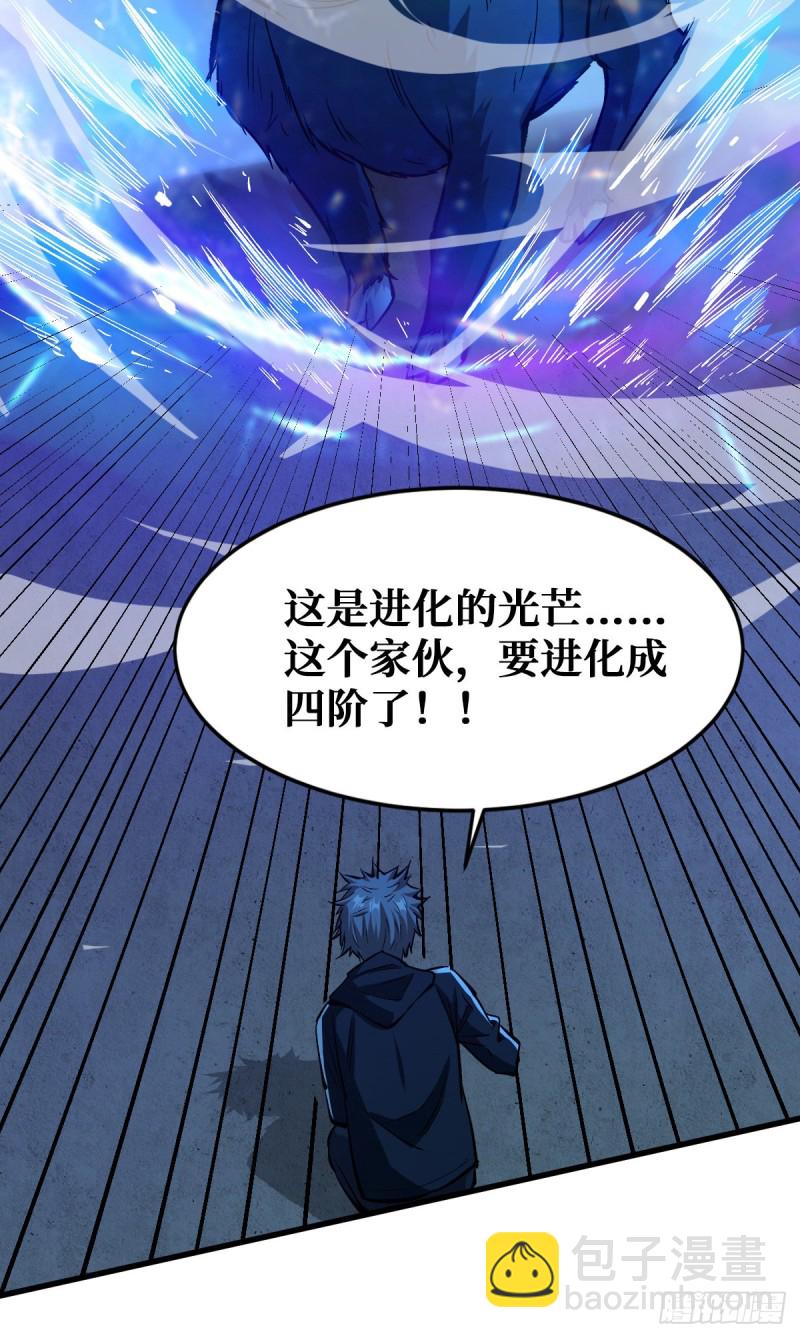 半路截胡-第50话