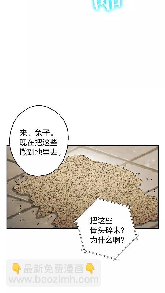第32话 小矮蛙(1/2)-第34话