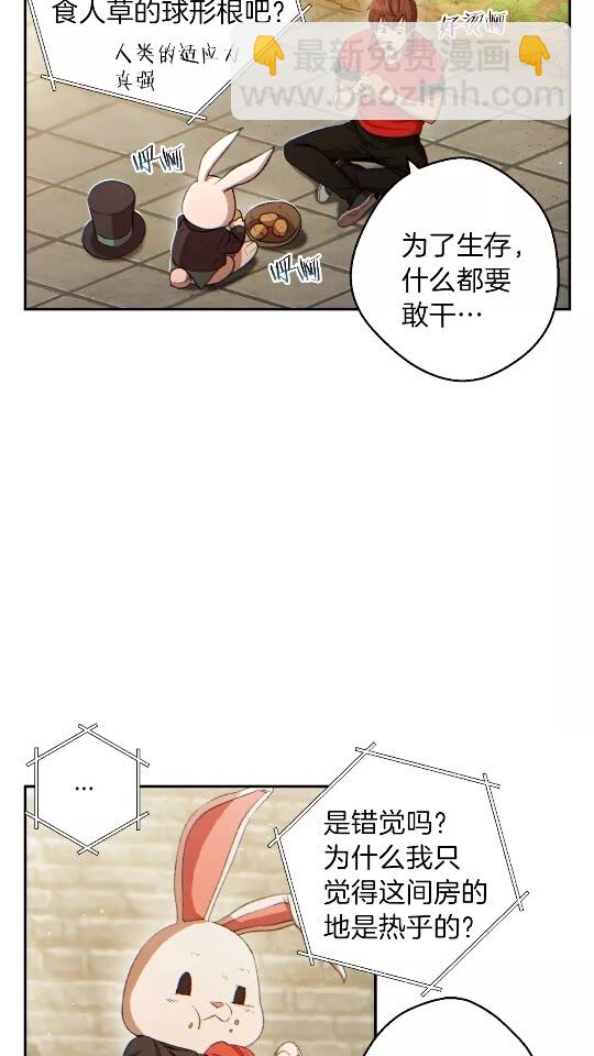 第32话 小矮蛙(1/2)-第34话