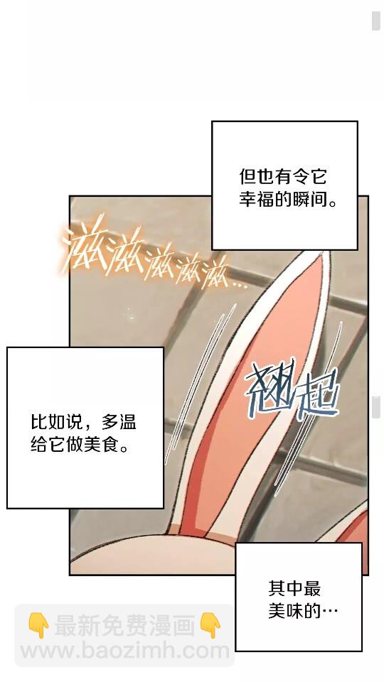 第32话 小矮蛙(1/2)-第34话