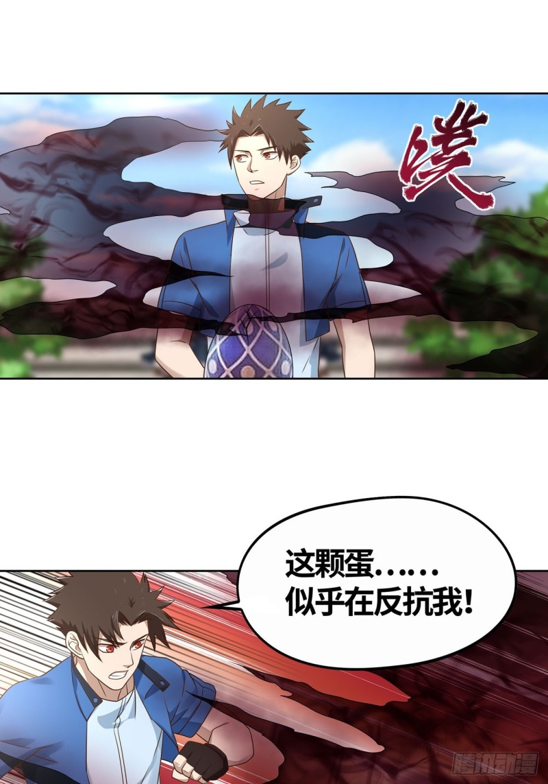 🍲重生大玩家 进化宝珠 第1页