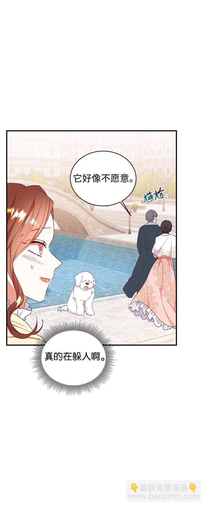 71 弃犬(1/2)-第72话