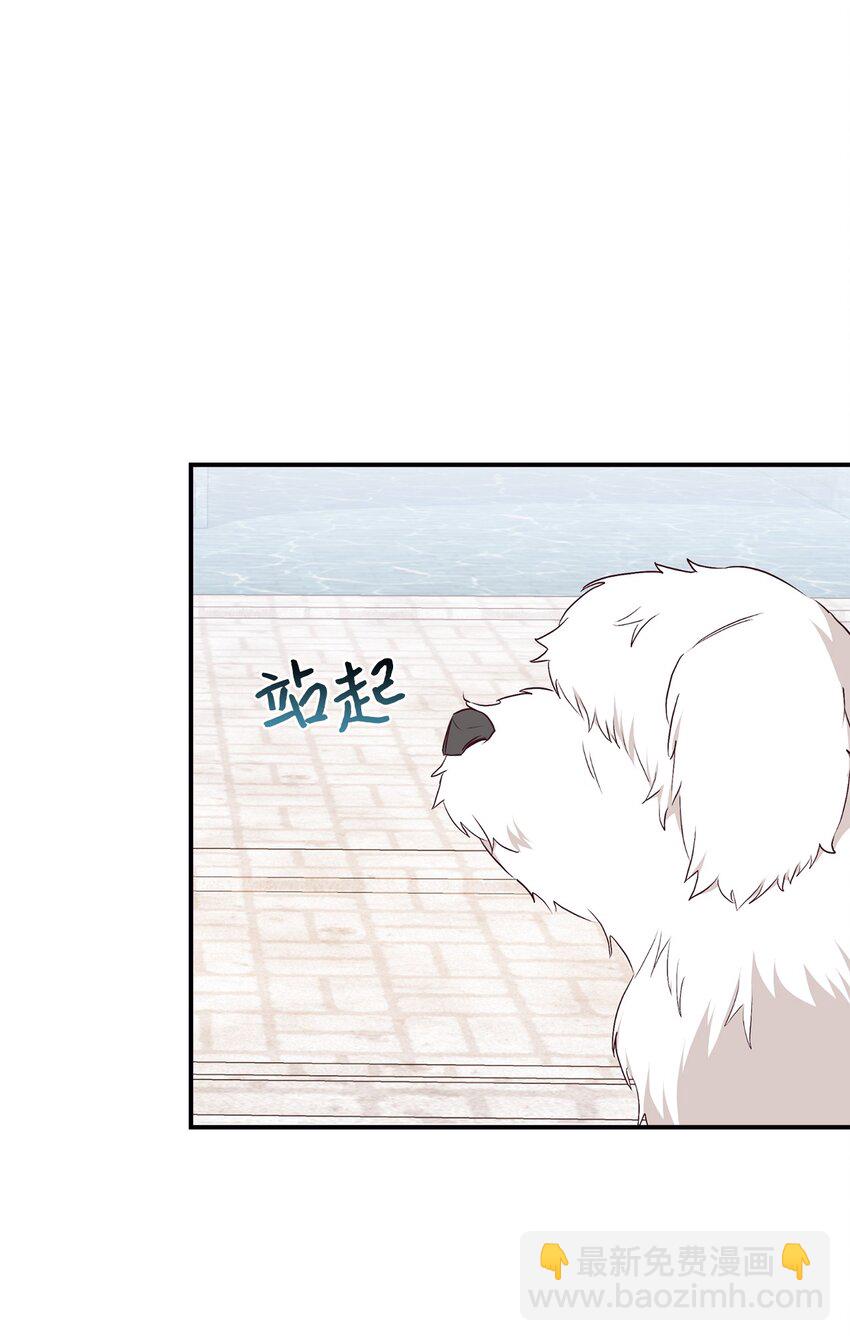 71 弃犬(1/2)-第72话