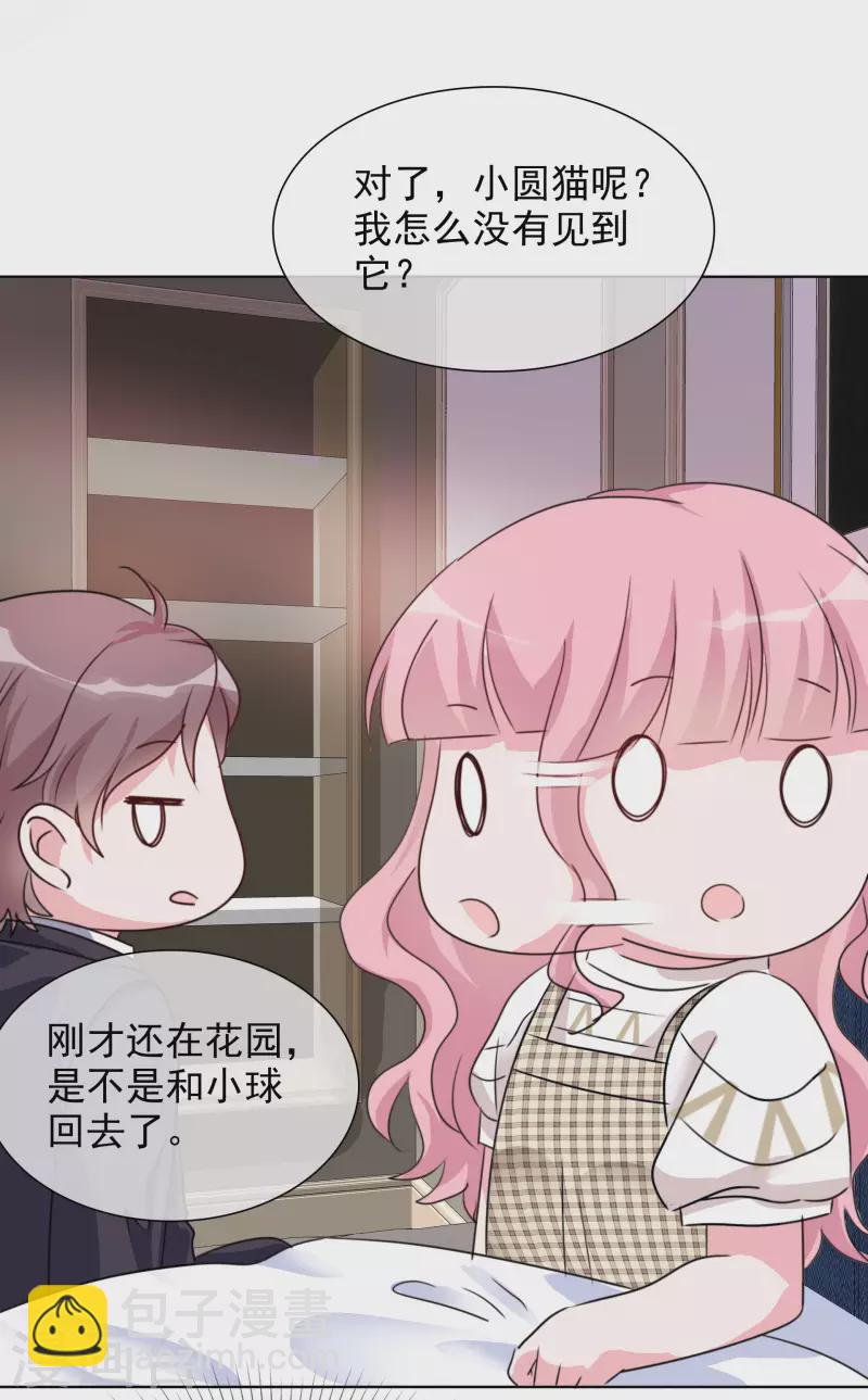 第53话 小圆猫不见了-第54话
