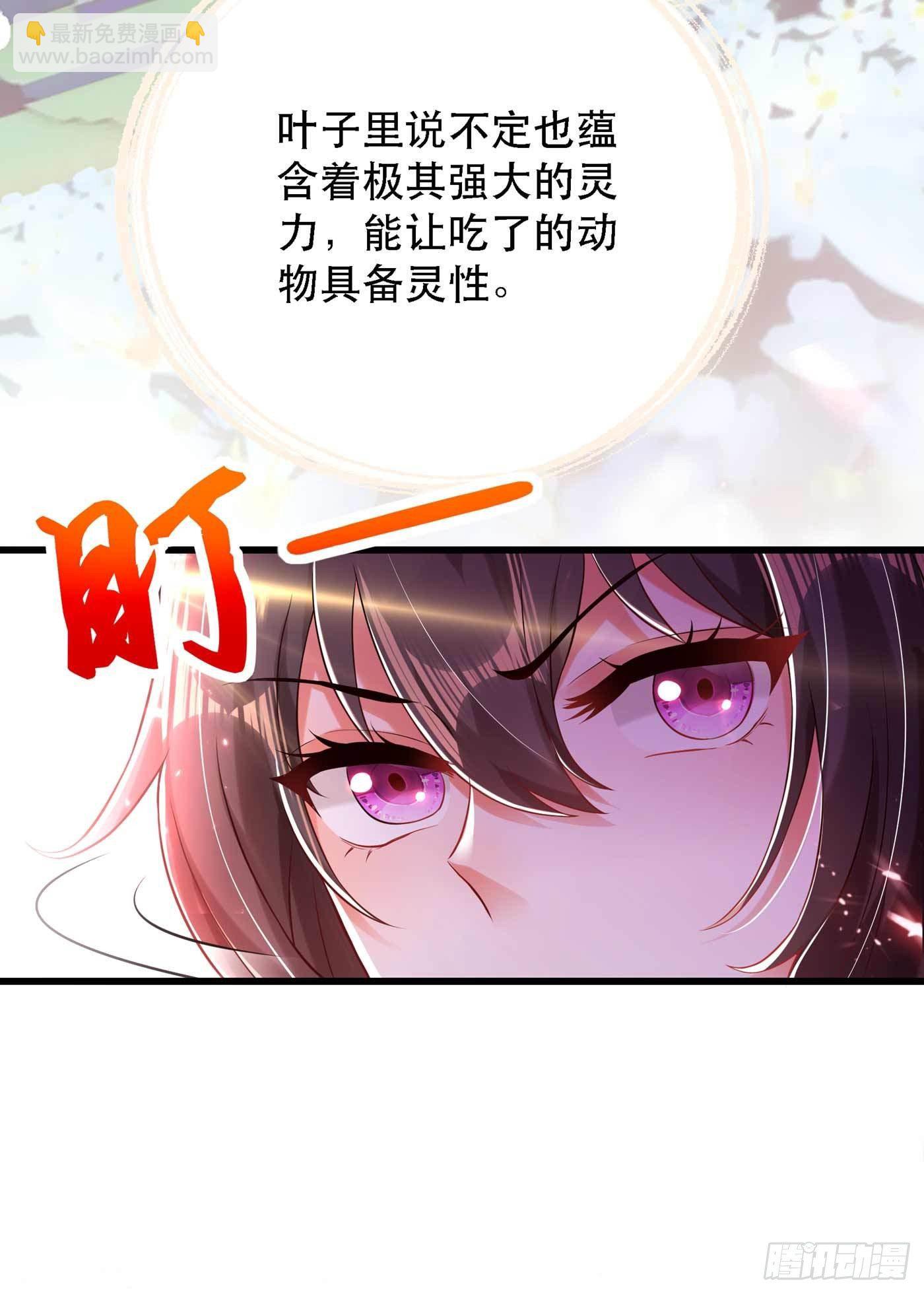 🍲重生空间：大小姐不好惹 第57话 小黑，帮我个忙！ 第26页