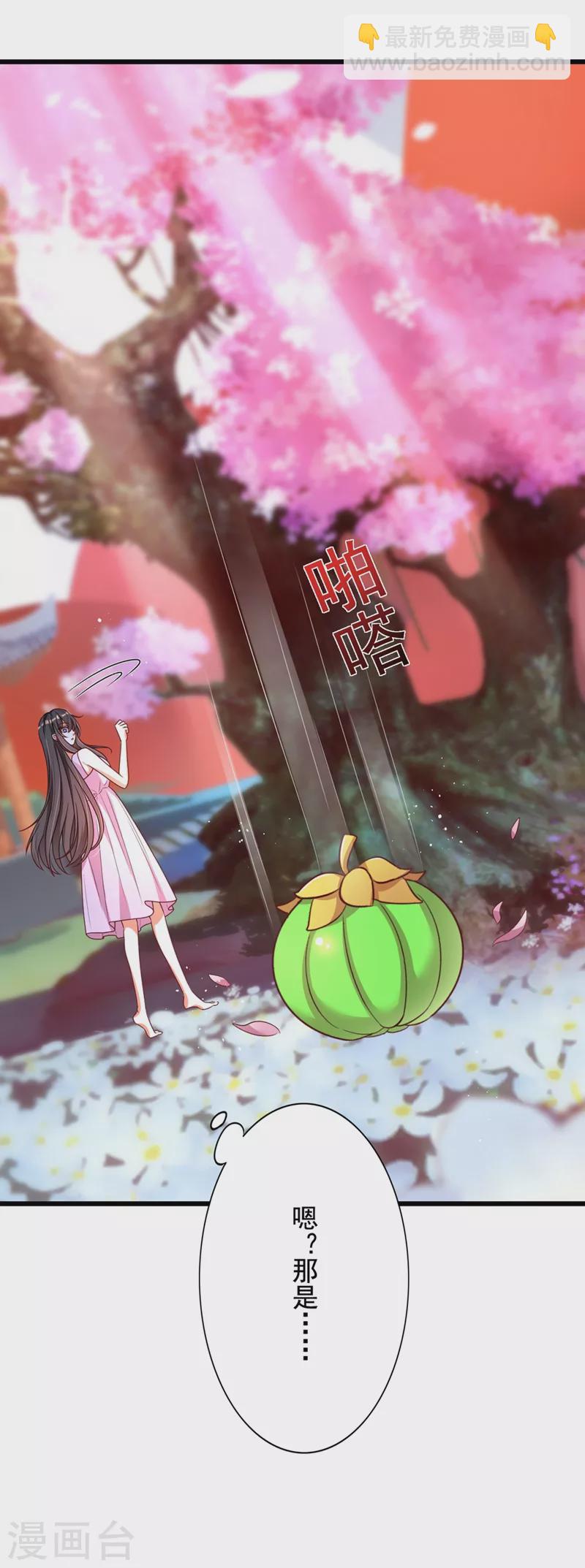 🍲重生空间：豪门辣妻不好惹 第239话 宝宝，你一定会平安 第19页