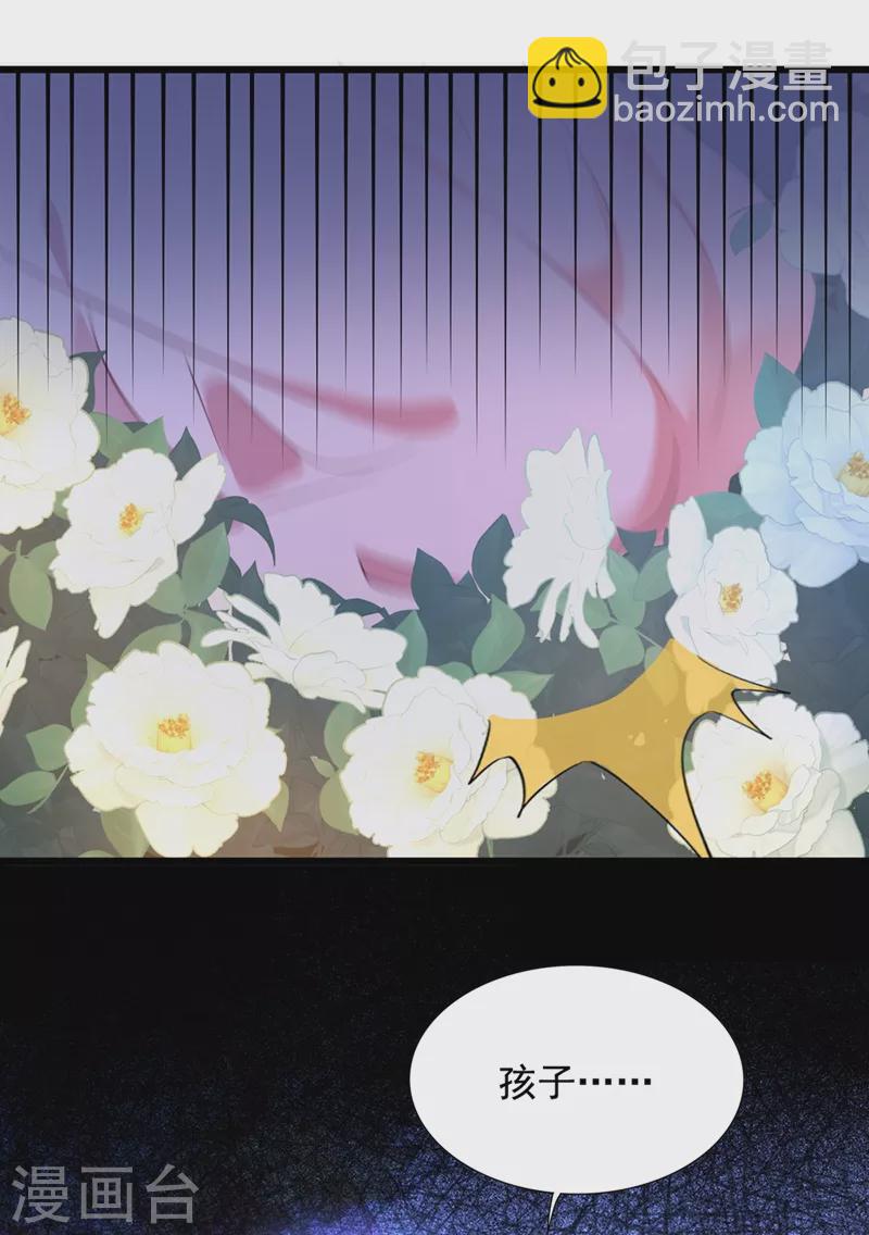 🍲重生空间：豪门辣妻不好惹 第239话 宝宝，你一定会平安 第6页