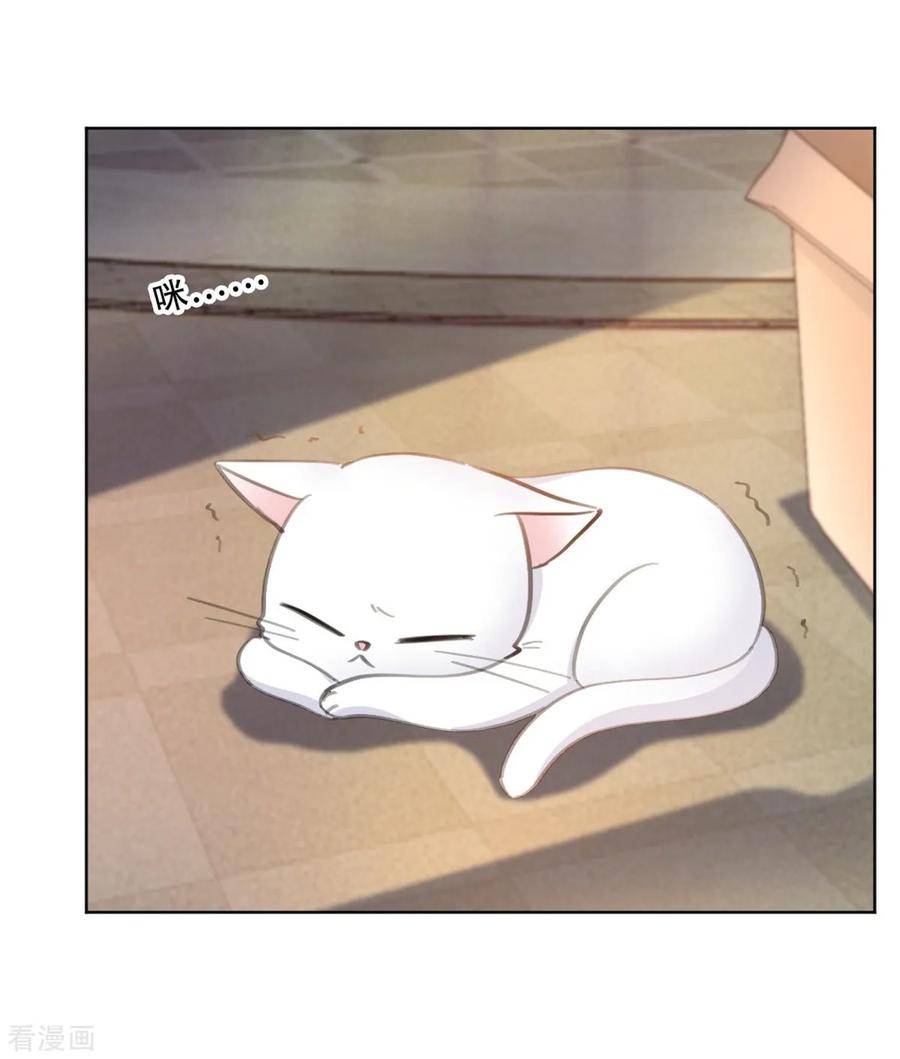 第176话 怀孕能养宠物吗？-第178话