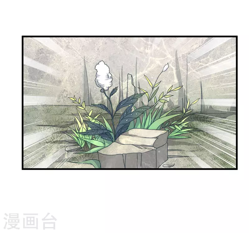第11话 本王不许你死！-第12话