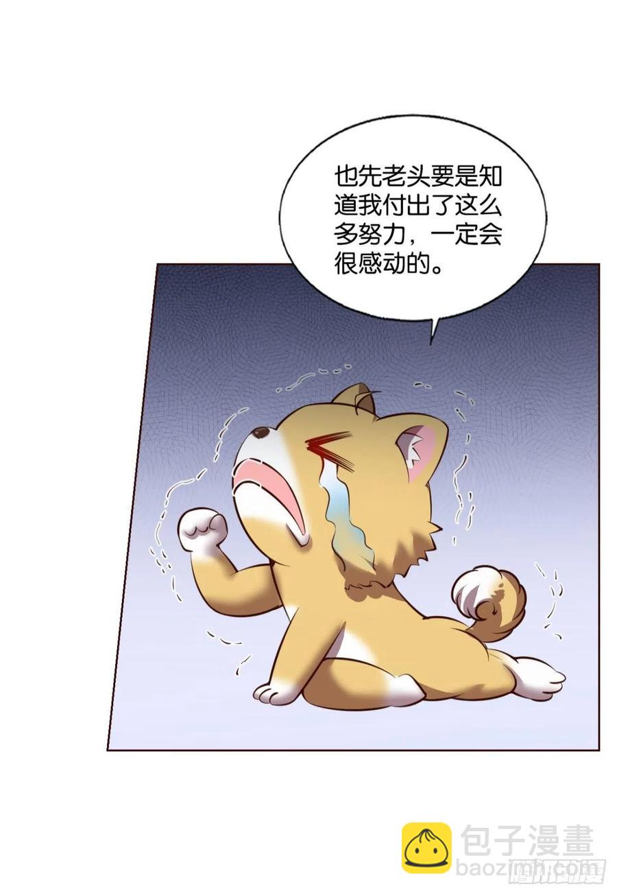 记得绿罗裙，处处怜芳草(1/2)-第250话
