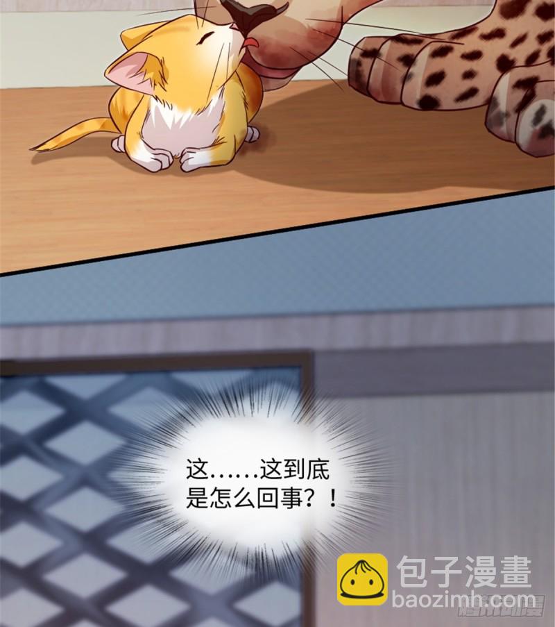 第187话(1/2)-第190话