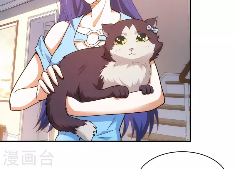 第18话 猫猫狗狗(1/2)-第18话