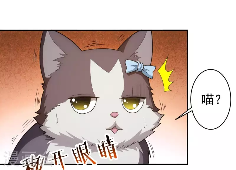 第18话 猫猫狗狗(1/2)-第18话