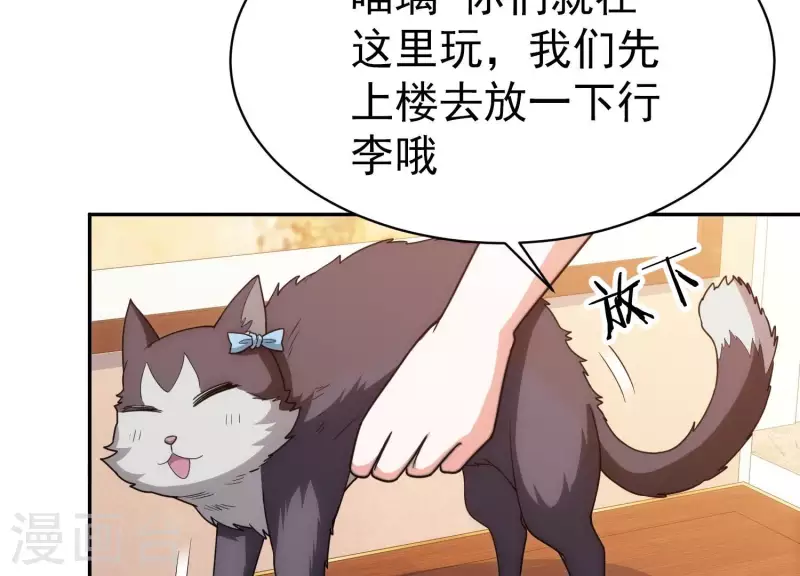 第18话 猫猫狗狗(1/2)-第18话