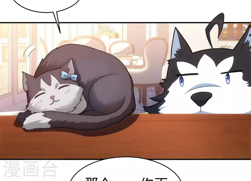 第18话 猫猫狗狗(1/2)-第18话