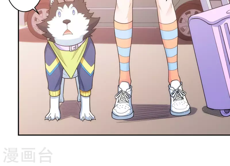 第18话 猫猫狗狗(1/2)-第18话