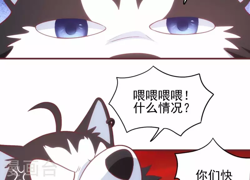 第34话 怎么是你(1/2)-第34话