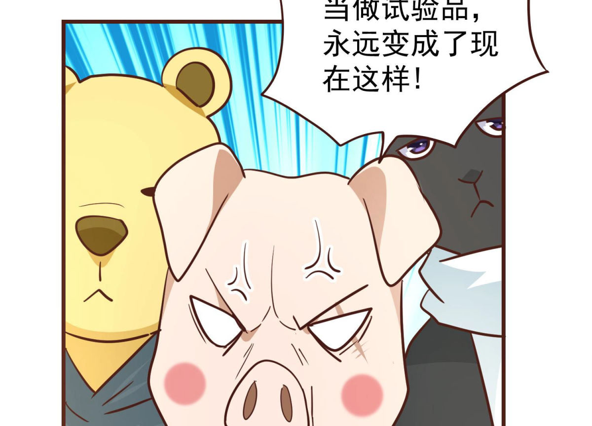 第81话 新人新策(1/2)-第82话