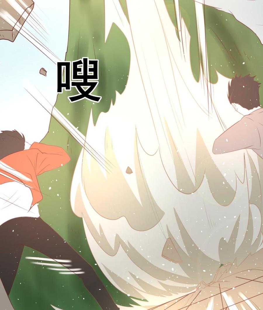 第219话 武林大会(1/2)-第222话