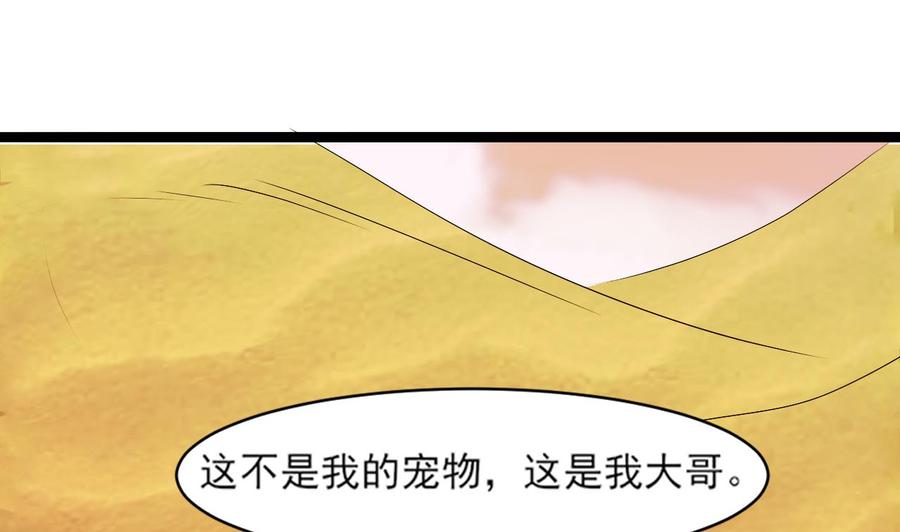 第二季 第4话 非礼勿视！(1/2)-第228话