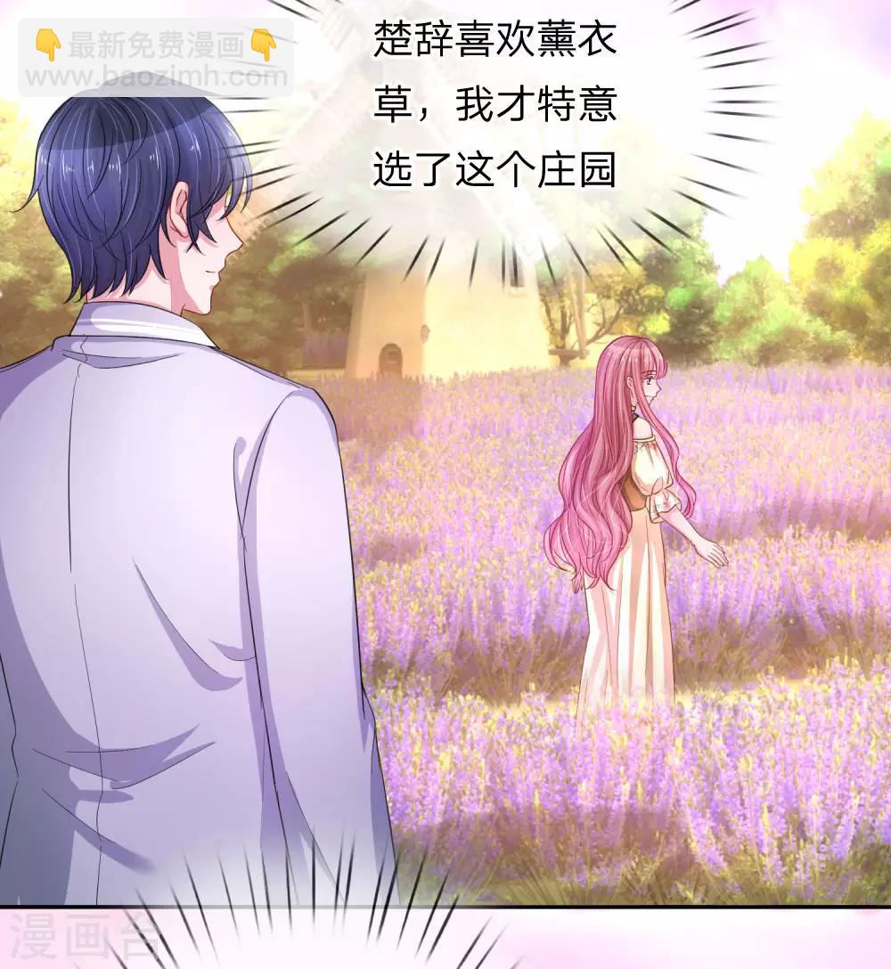 第215话 薰衣草花海-第264话