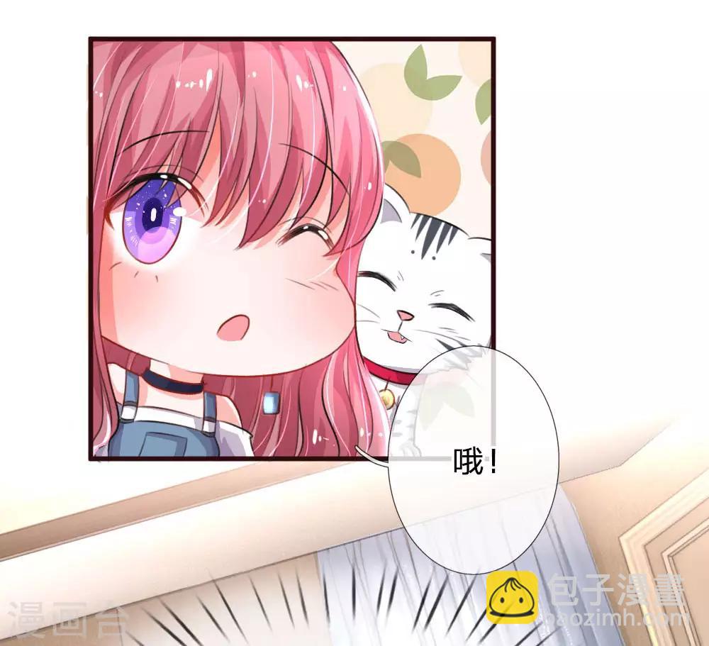 第77话 萌猫球球-第122话