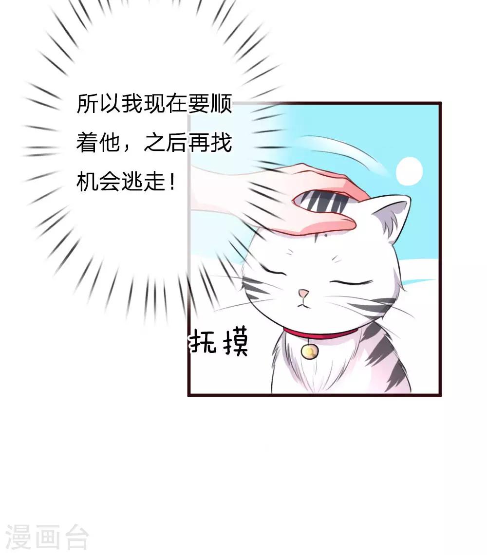 第77话 萌猫球球-第122话